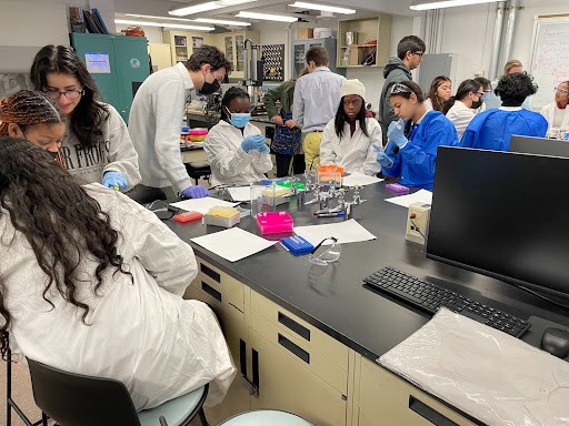 Volunteers assisting students with pipetting practice. Photo Credit: Nicholas Djedjos