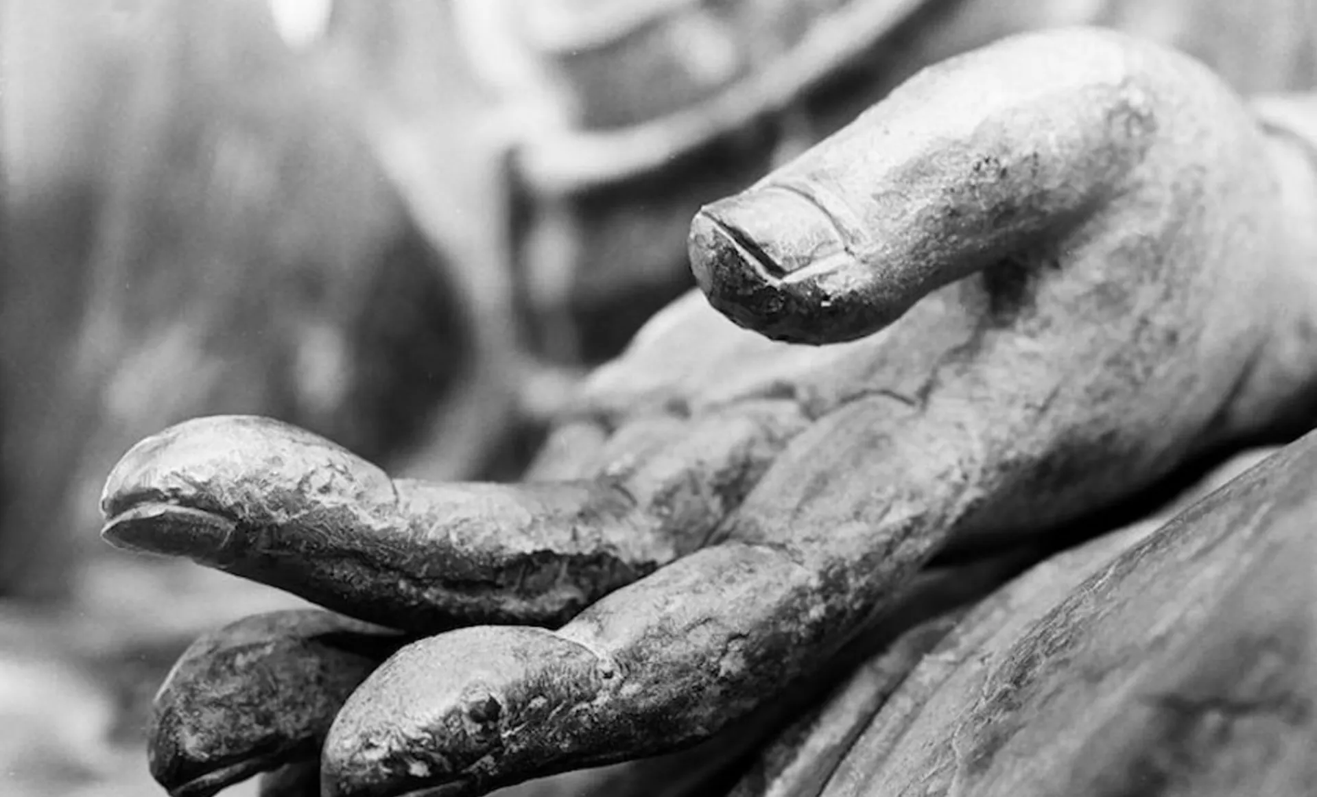 buddha hand